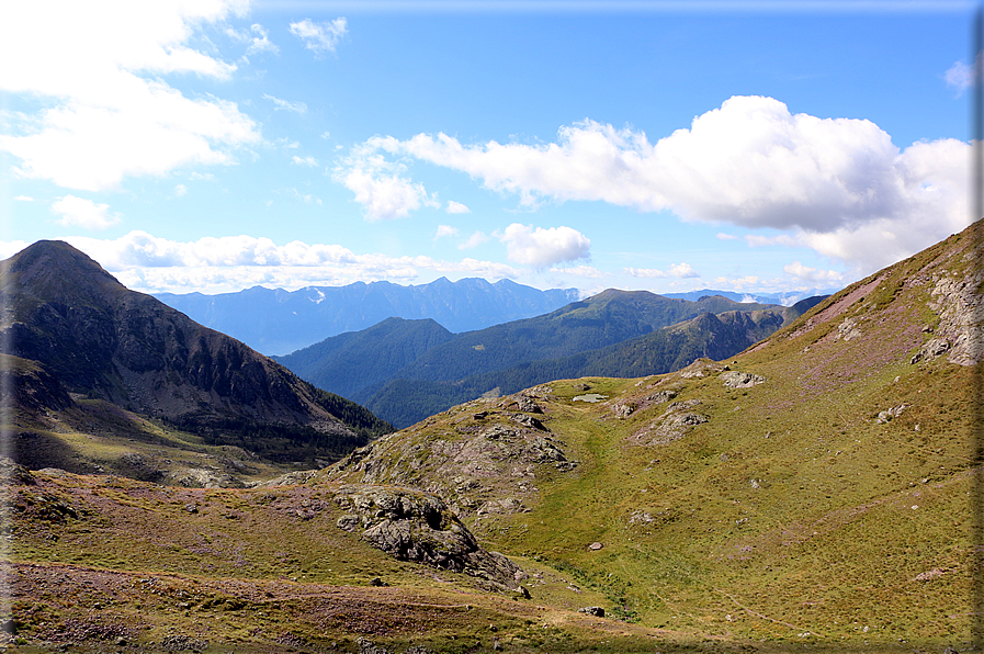 foto Forcella Pala del Becco